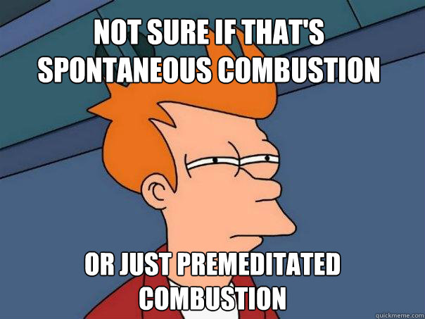 Not sure if that's spontaneous combustion Or just premeditated combustion  Futurama Fry