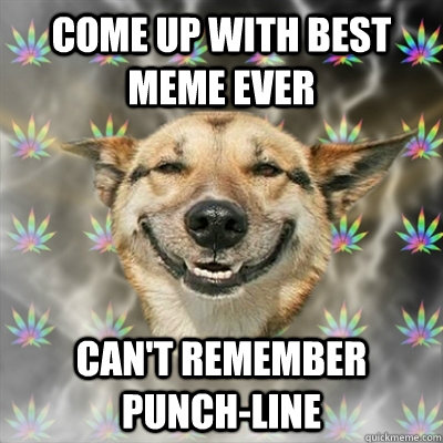 Come up with best meme ever can't remember punch-line  Stoner Dog