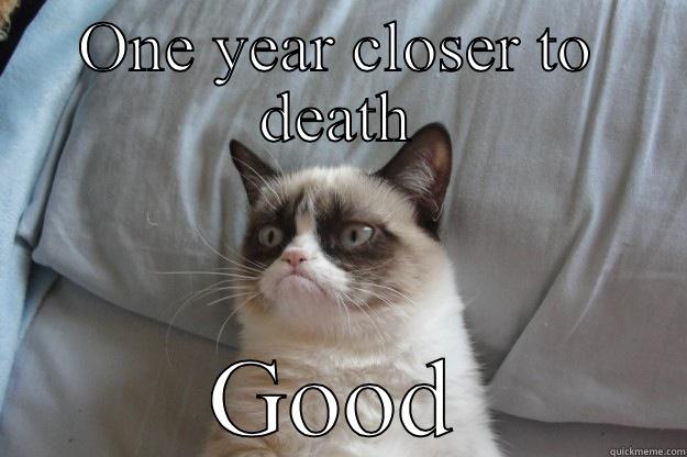 ONE YEAR CLOSER TO DEATH GOOD Grumpy Cat