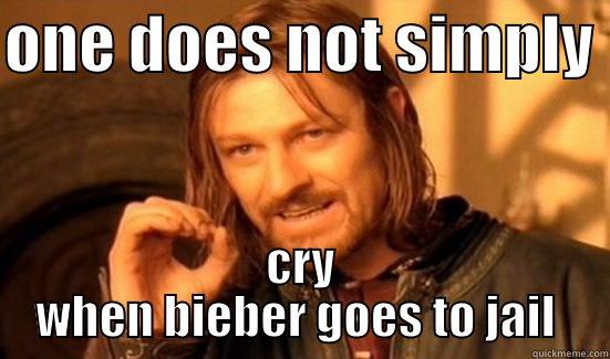 ONE DOES NOT SIMPLY  CRY WHEN BIEBER GOES TO JAIL  Boromir