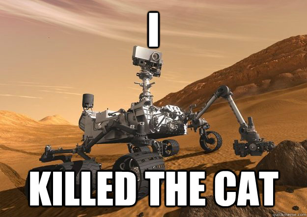 I  killed the cat - I  killed the cat  Misc