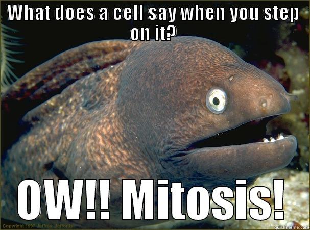 Mitosis Mike - WHAT DOES A CELL SAY WHEN YOU STEP ON IT? OW!! MITOSIS! Bad Joke Eel