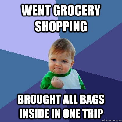 Went grocery shopping Brought all bags inside in one trip  Success Kid