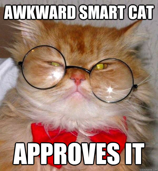 Awkward Smart Cat Approves it  Awkward Smart Cat