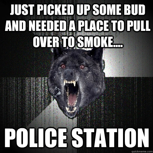 Just picked up some bud and needed a place to pull over to smoke.... POLICE STATION - Just picked up some bud and needed a place to pull over to smoke.... POLICE STATION  Insanity Wolf