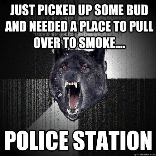 Just picked up some bud and needed a place to pull over to smoke.... POLICE STATION  Insanity Wolf