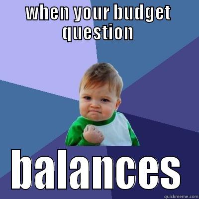 WHEN YOUR BUDGET QUESTION BALANCES Success Kid