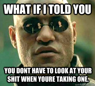 What if I told you you dont have to look at your shit when youre taking one.  Matrix Morpheus