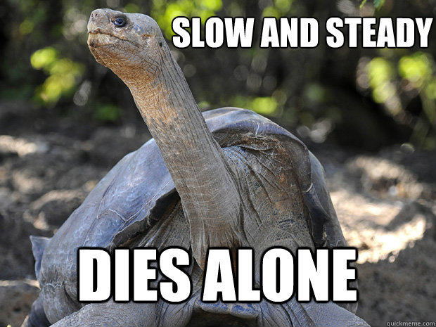 Slow and steady Dies alone  