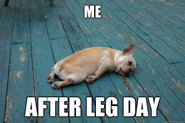 me after leg day - me after leg day  tired puppy
