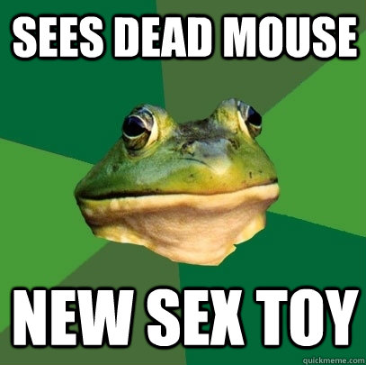 SEES DEAD MOUSE new sex toy  Foul Bachelor Frog