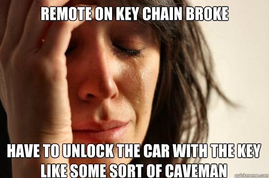 REMOTE ON KEY CHAIN BROKE
 HAVE TO UNLOCK THE CAR WITH THE KEY LIKE SOME SORT OF CAVEMAN    First World Problems