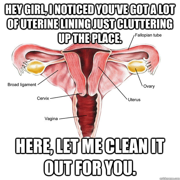 Hey girl, I noticed you've got a lot of uterine lining just cluttering up the place. Here, let me clean it out for you. - Hey girl, I noticed you've got a lot of uterine lining just cluttering up the place. Here, let me clean it out for you.  Misc