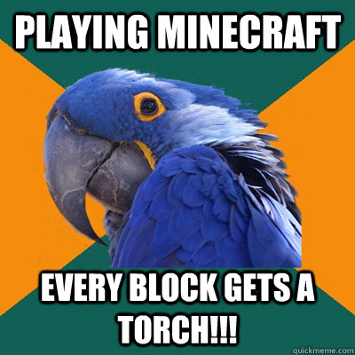 Playing Minecraft every Block gets a Torch!!!  Paranoid Parrot