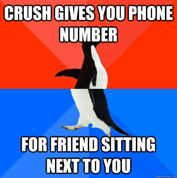 Crush gives you phone number for friend sitting next to you  socially awkward penguin socially awesome penguin