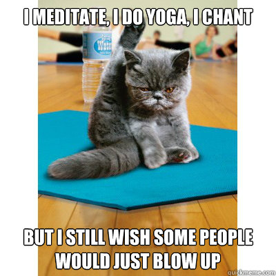 I meditate, I do yoga, I chant but i still wish some people would just blow up - I meditate, I do yoga, I chant but i still wish some people would just blow up  Peace Cat