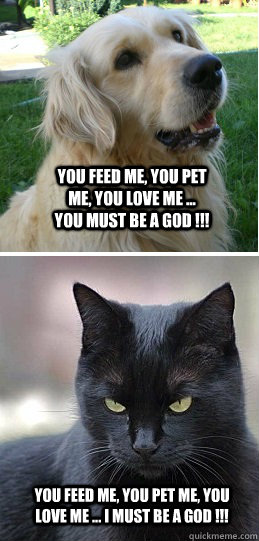 You feed me, you pet me, you love me ... You must be a God !!! You feed me, you pet me, you love me ... I must be a God !!!  Dogs Vs Cats