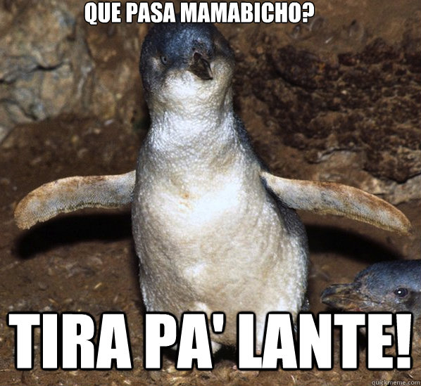 ¿Que pasa mamabicho? Tira pa' lante!  Tira pa lante mamabicho