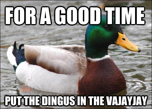 For a good time put the dingus in the vajayjay  Actual Advice Mallard