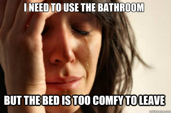 I need to use the bathroom but the bed is too comfy to leave  First World Problems