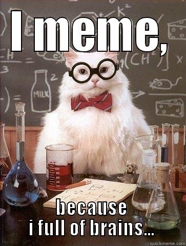 I MEME, BECAUSE I FULL OF BRAINS... Chemistry Cat