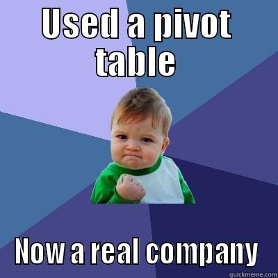USED A PIVOT TABLE NOW A REAL COMPANY Success Kid