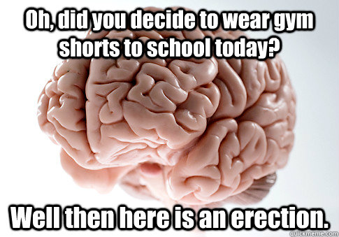 Oh, did you decide to wear gym shorts to school today? Well then here is an erection.  Caption 4 goes here Caption 5 goes here  Scumbag Brain