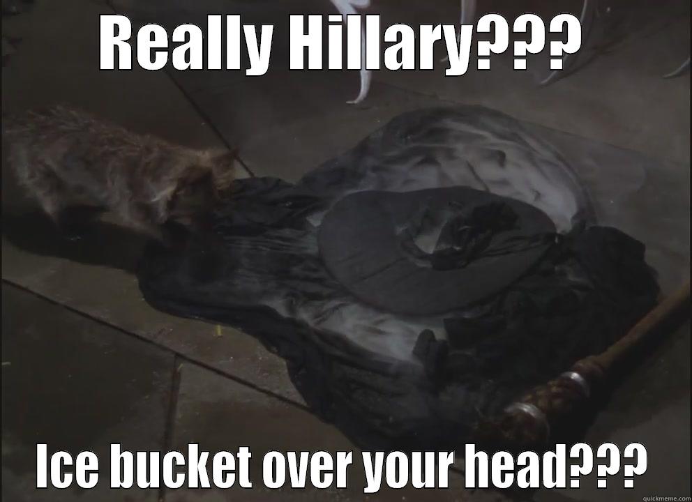 REALLY HILLARY??? ICE BUCKET OVER YOUR HEAD??? Misc