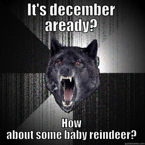 IT'S DECEMBER AREADY? HOW ABOUT SOME BABY REINDEER? Insanity Wolf