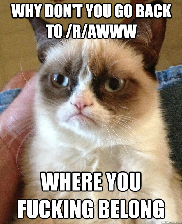 why don't you go back to /r/awww where you fucking belong - why don't you go back to /r/awww where you fucking belong  Grumpy Cat