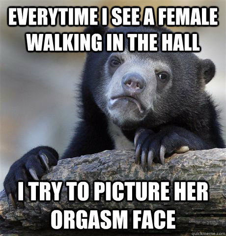 Everytime I see a female walking in the hall I try to picture her orgasm face - Everytime I see a female walking in the hall I try to picture her orgasm face  Confession Bear