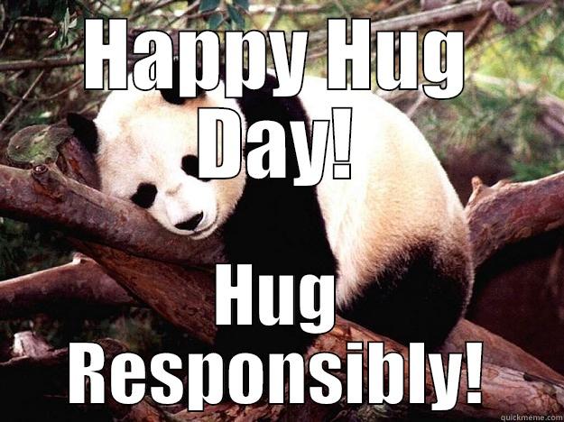 Hug Responsibly! - HAPPY HUG DAY! HUG RESPONSIBLY! Procrastination Panda