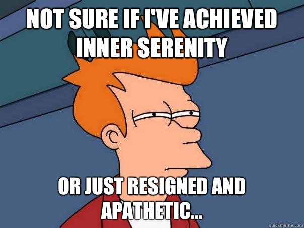 Not sure if I've achieved inner serenity Or just resigned and apathetic... - Not sure if I've achieved inner serenity Or just resigned and apathetic...  Futurama Fry