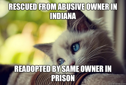 Rescued from abusive owner in Indiana  Readopted by same owner in prison  First World Problems Cat
