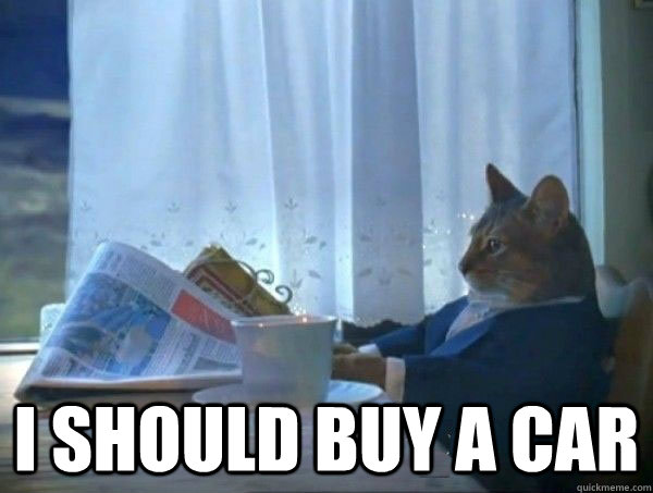  I should buy a car  morning realization newspaper cat meme