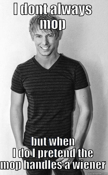 I DONT ALWAYS MOP BUT WHEN I DO I PRETEND THE MOP HANDLES A WIENER Redneck Randal