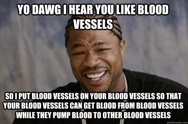 YO DAWG I HEAR YOU LIKE BLOOD VESSELS SO I PUT BLOOD VESSELS ON YOUR BLOOD VESSELS SO THAT YOUR BLOOD VESSELS CAN GET BLOOD FROM BLOOD VESSELS WHILE THEY PUMP BLOOD TO OTHER BLOOD VESSELS - YO DAWG I HEAR YOU LIKE BLOOD VESSELS SO I PUT BLOOD VESSELS ON YOUR BLOOD VESSELS SO THAT YOUR BLOOD VESSELS CAN GET BLOOD FROM BLOOD VESSELS WHILE THEY PUMP BLOOD TO OTHER BLOOD VESSELS  Xzibit meme