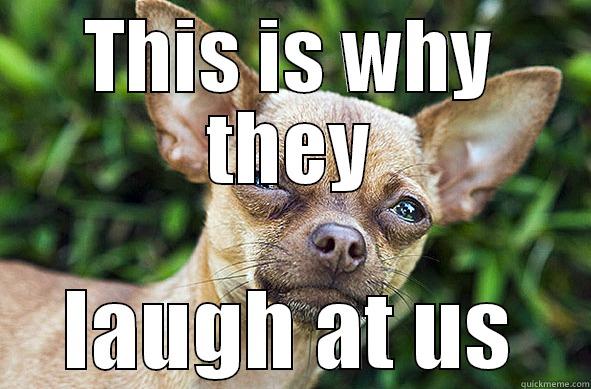 THIS IS WHY THEY LAUGH AT US Misc