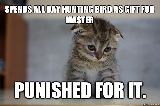 Spends all day hunting bird as gift for master Punished for it. - Spends all day hunting bird as gift for master Punished for it.  Sad Kitten