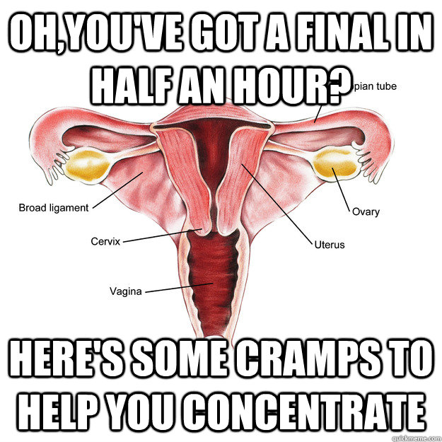 OH,YOU'VE GOT A FINAL IN HALF AN HOUR? HERE'S SOME CRAMPS TO HELP YOU CONCENTRATE  