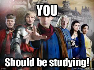 YOU Should be studying!  