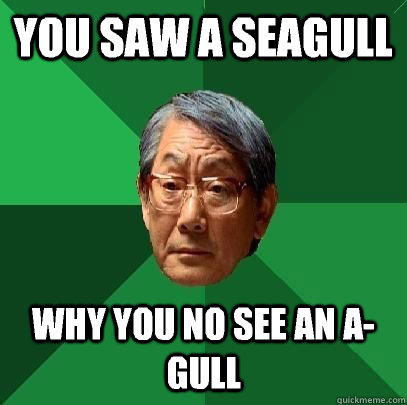 You saw a seagull Why you no see an A-gull - You saw a seagull Why you no see an A-gull  High Expectations Asian Father