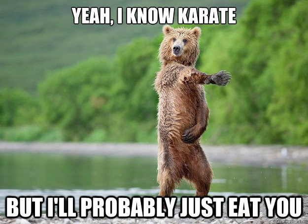 yeah, i know karate but i'll probably just eat you - yeah, i know karate but i'll probably just eat you  Karate Bear