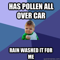 Has pollen all over car  rain washed it for me  Sucess Kid