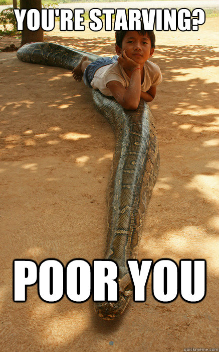You're Starving? Poor you  