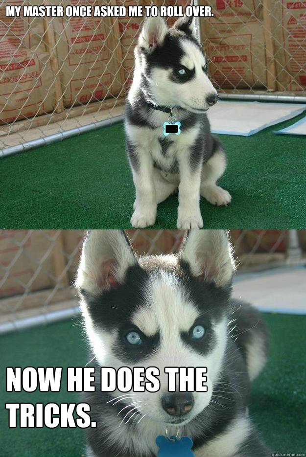 My master once asked me to roll over. Now he does the tricks.  Insanity puppy