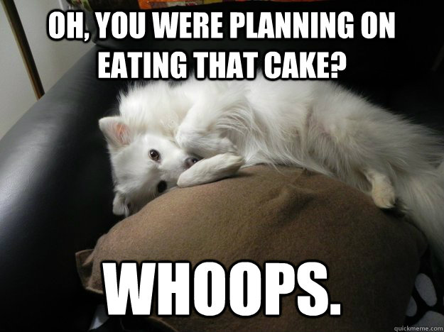 oh, you were planning on eating that cake? whoops.  Sneaky Dog