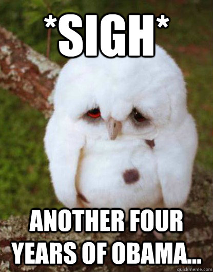 *Sigh* Another four years of Obama...  Depressed Owl
