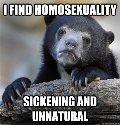 I find homosexuality sickening and unnatural  Confession Bear