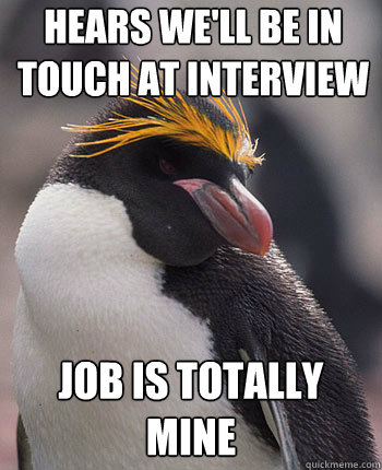 hears we'll be in touch at interview job is totally mine  Socially Overconfident Penguin